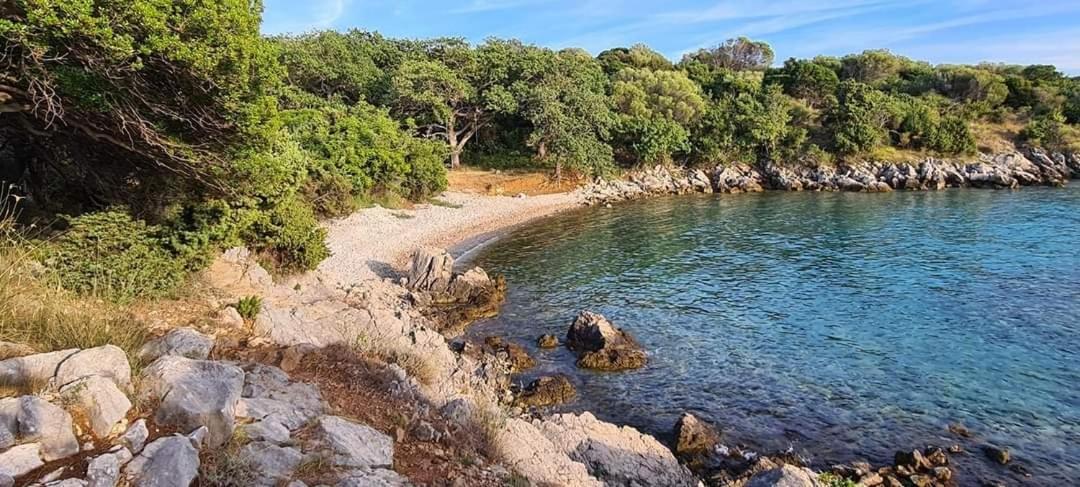 Kuca Za Odmor Denona Apartment Borovici Luaran gambar